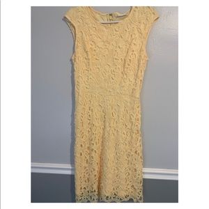 New York and company dress